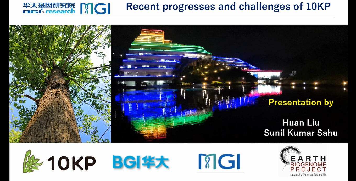Recent Progresses and Challenges of 10KP